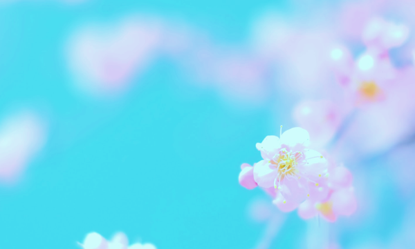 spring_cover-1.png