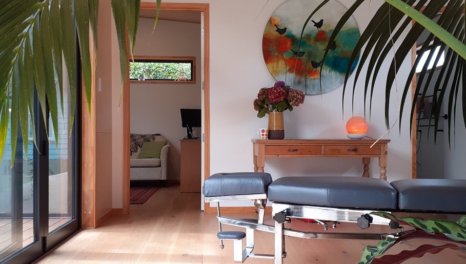 RiverSong Chiropractic Studio - Appointment Only