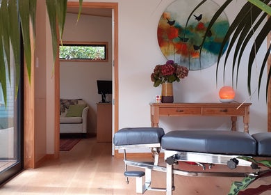 RiverSong Chiropractic Studio - Appointment Only