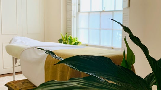 Physical Therapy image for Living Practices Acupuncture