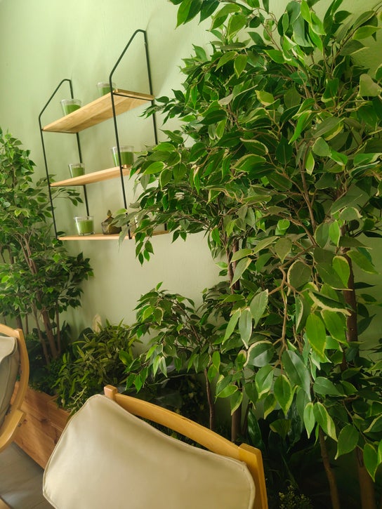 Immagine di Fisioterapia per Κατερίνα Βασιλειάδου Ίριδα
