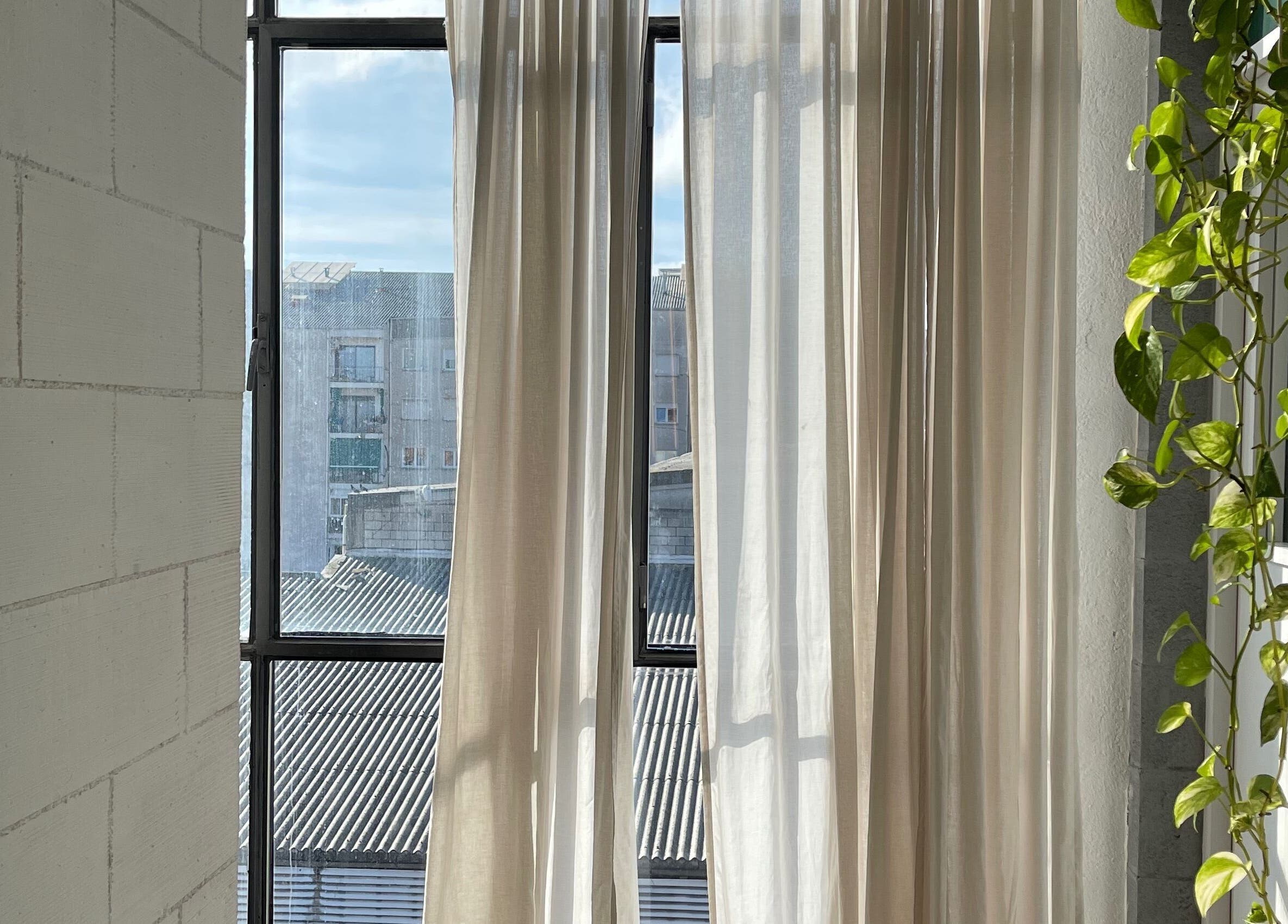 Luz natural y planta en ventana de East Therapy, Barcelona, Catalunya, ES