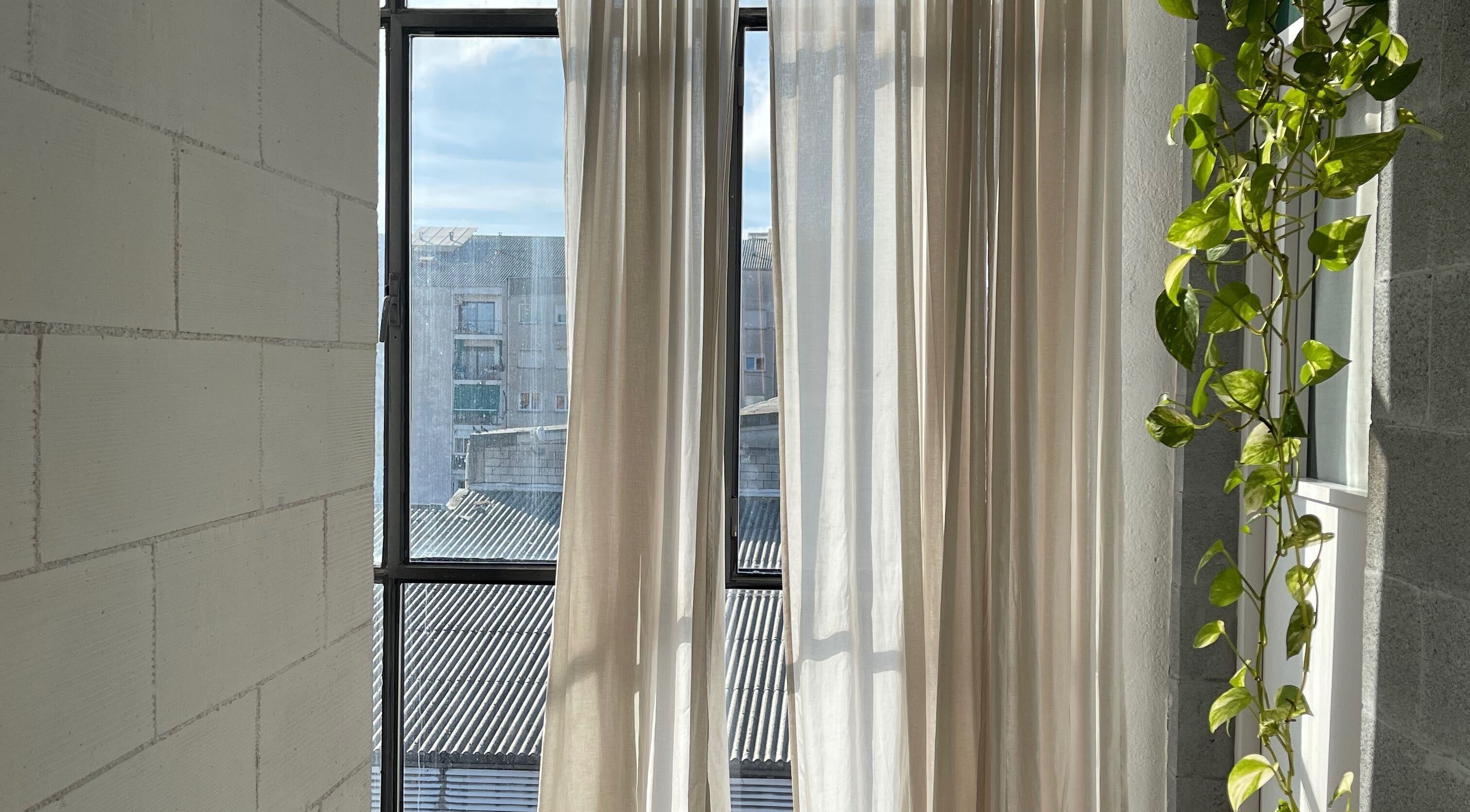 Luz natural y planta en ventana de East Therapy, Barcelona, Catalunya, ES