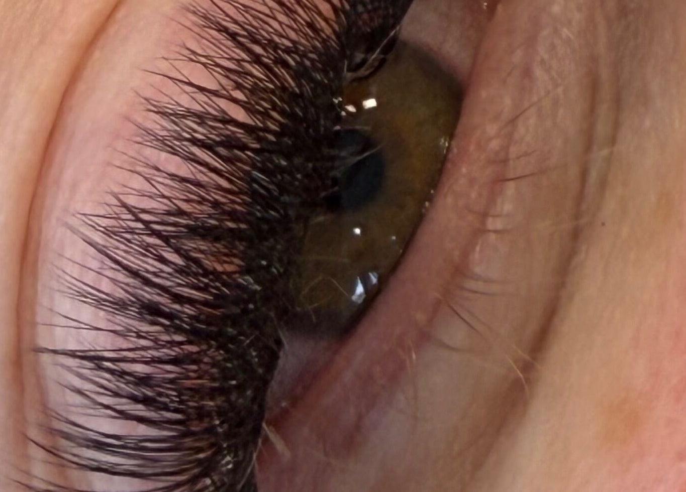 Detailed closeup of eyelash extensions at The Beauty Collective, Kintore, Scotland, GB.