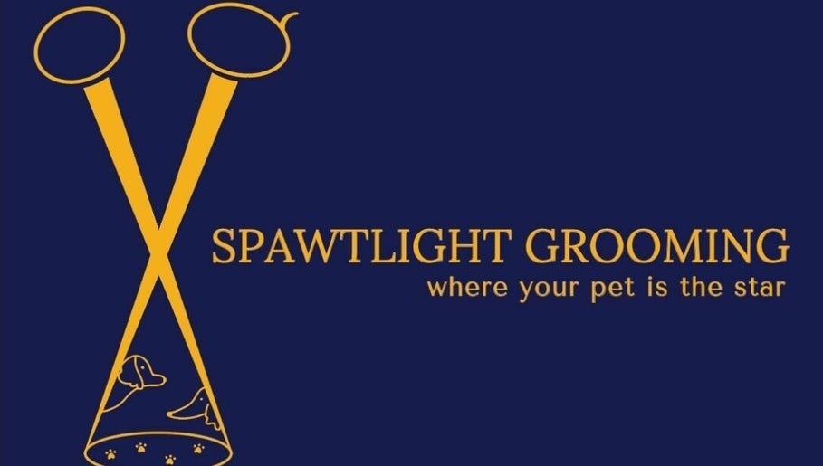 Spawtlight Grooming by Amanda (Essex location) image 1