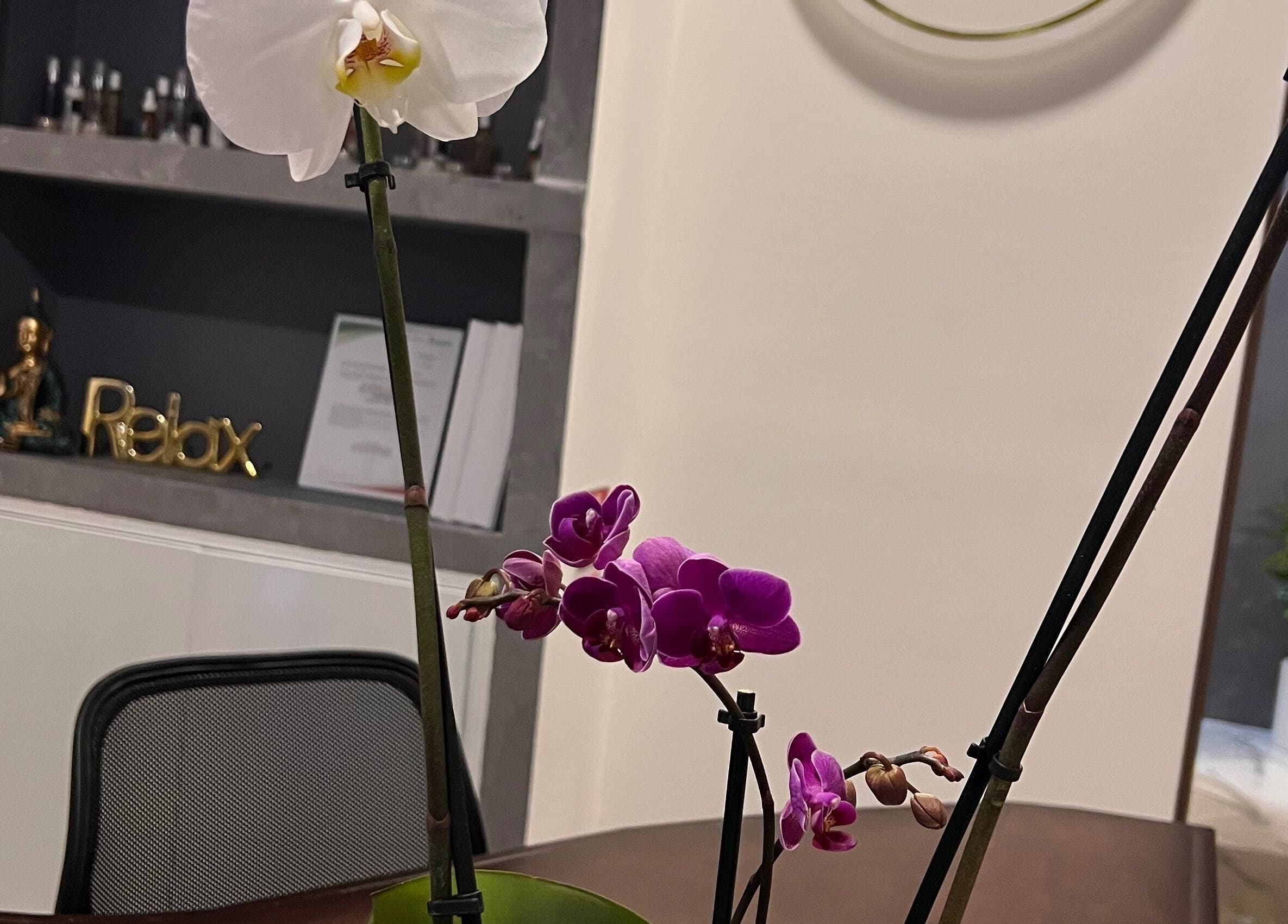 Orquídea en oficina de Liriospa, Pachuca De Soto, Hidalgo, MX, creando un ambiente armonioso.