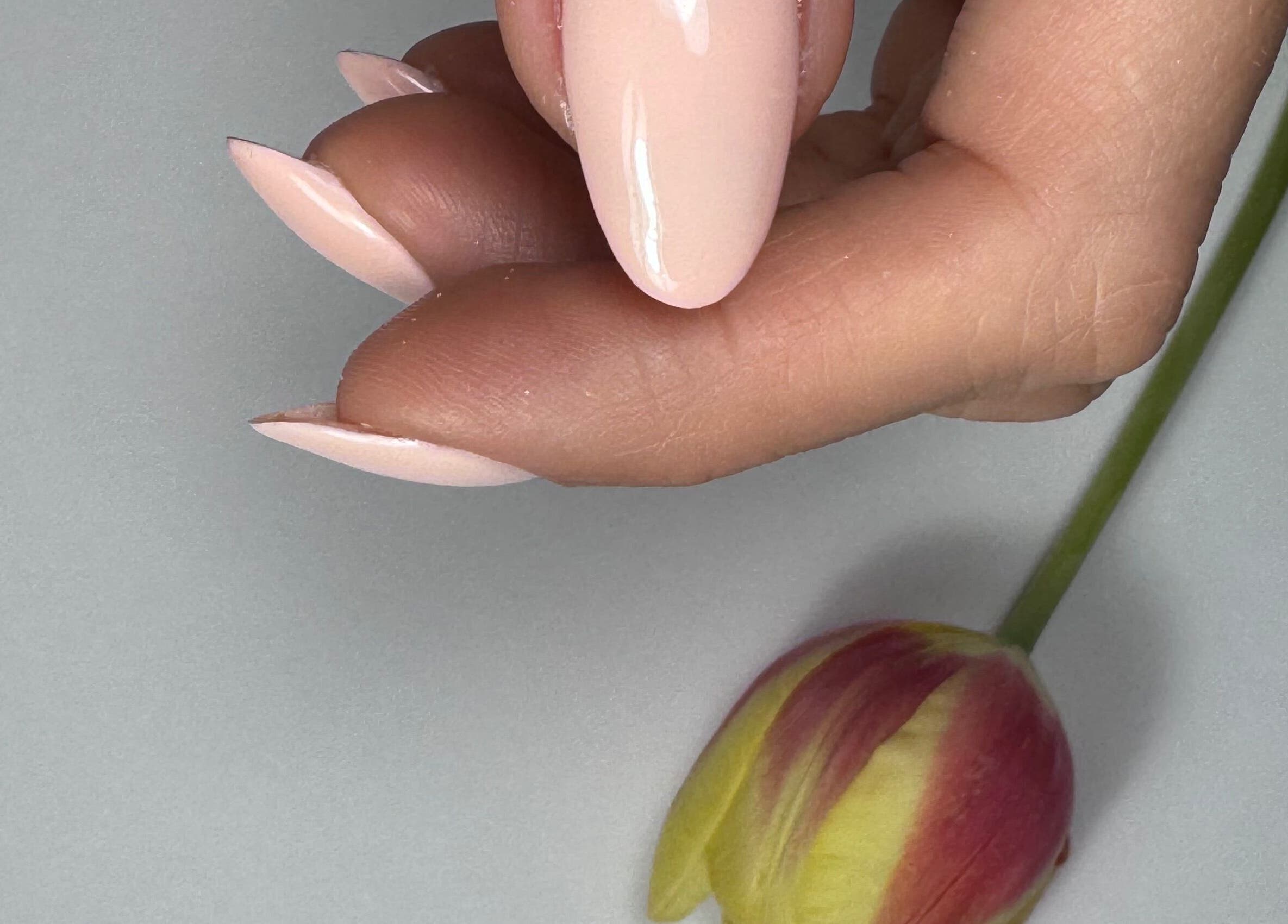 Elegant pink nails beside a tulip at Yasya Nails & Beauty, Bristol, Великобритания, GB.