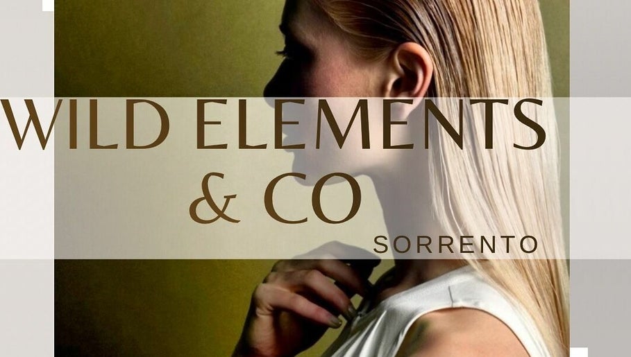 Wild Elements and Co Sorrento – kuva 1