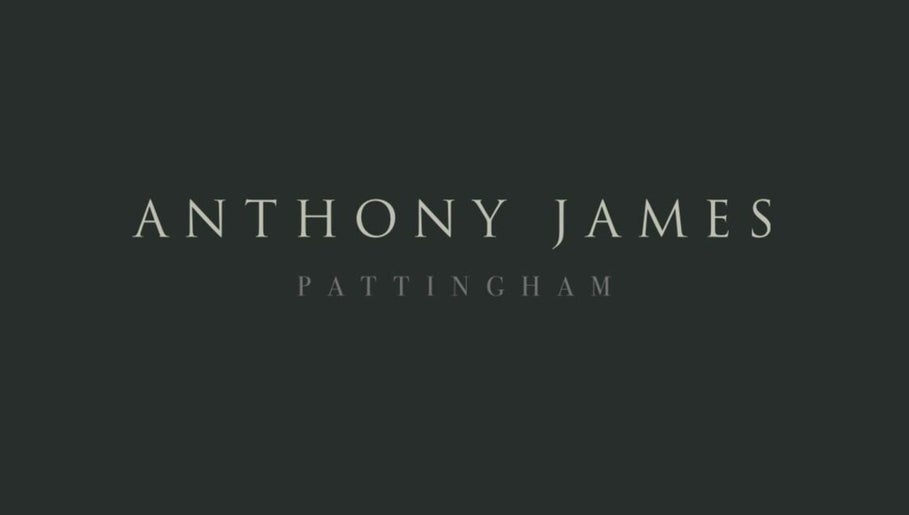 Anthony James – kuva 1