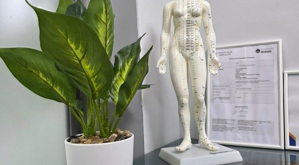 Acupuncture model and plant at All Being Well Health & Acupuncture, Ilkeston, England, GB.
