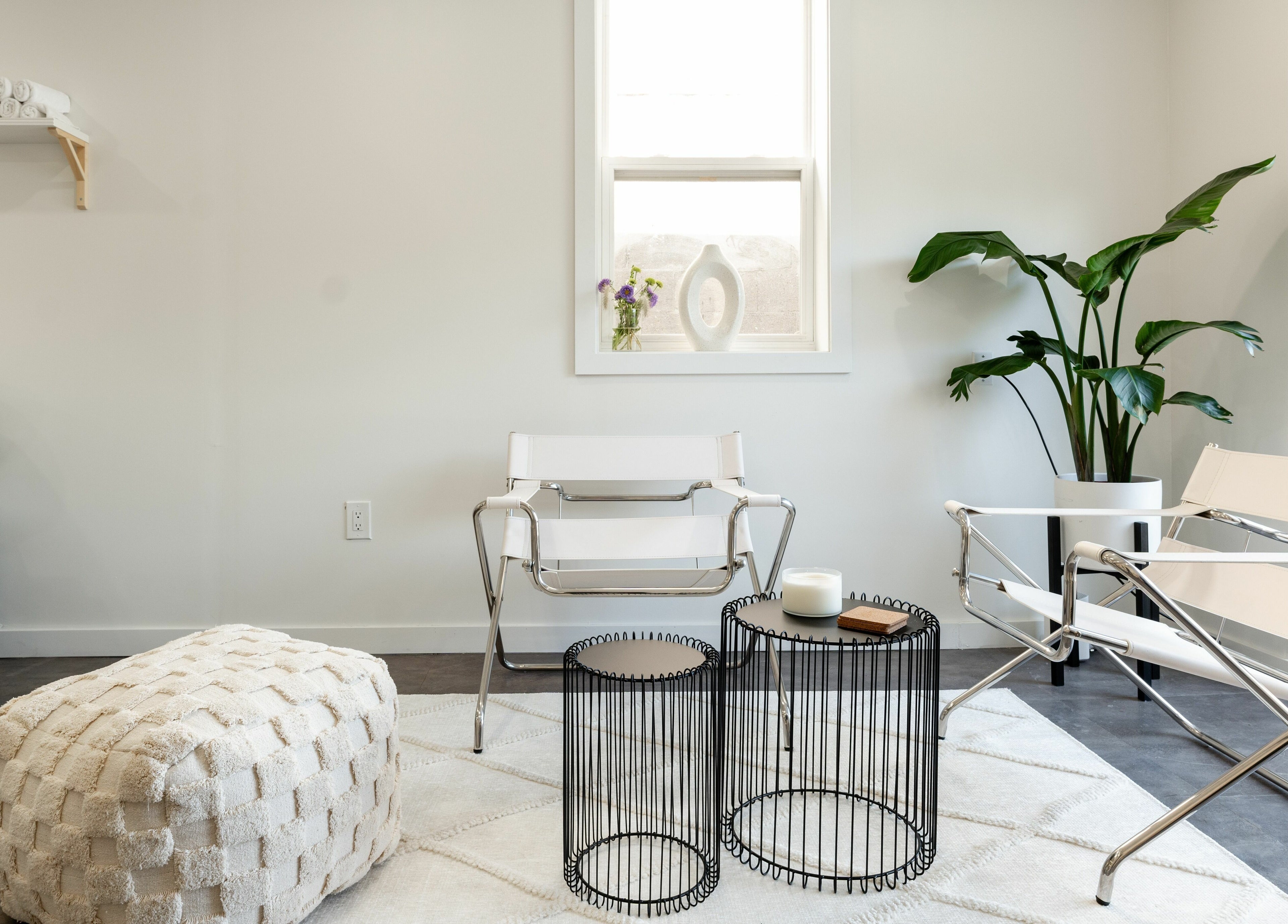 Minimalist interior of Bare Bones The Space in Toronto, Ontario, CA with modern seating and lush green plant.
