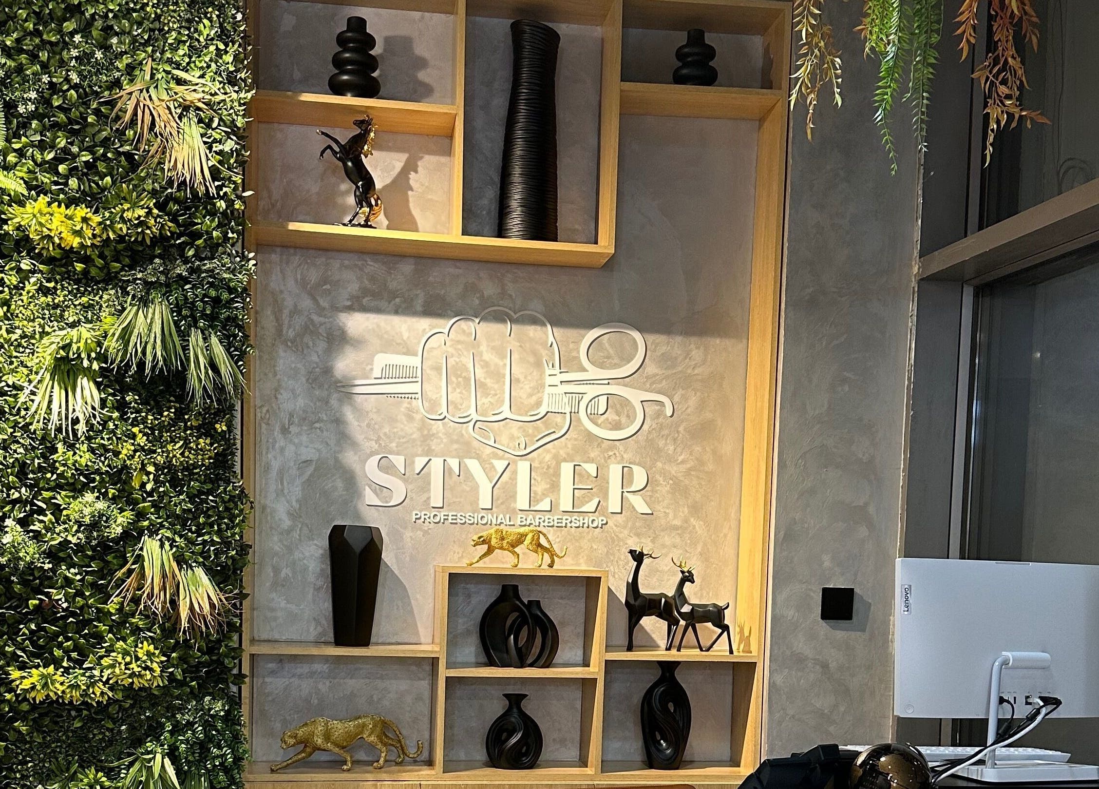 Stylish interior wall of Styler Gents Salon & Spa - Khalifa Park, Abu Dhabi, AE.