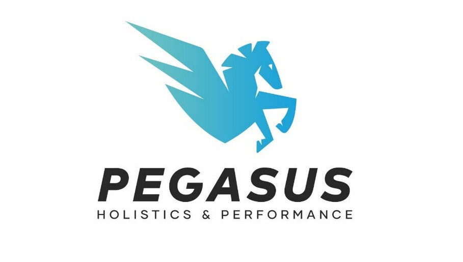 Pegasus Holistic's and Performance afbeelding 1