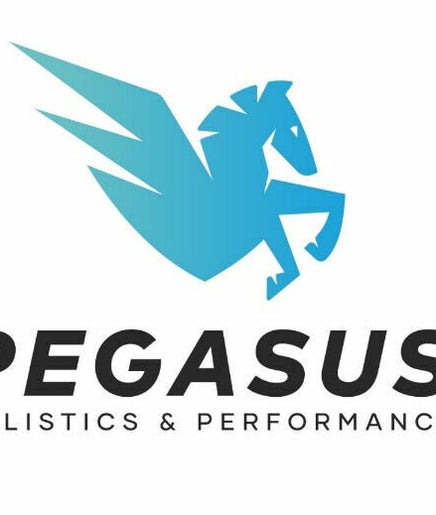 Pegasus Holistic's and Performance afbeelding 2