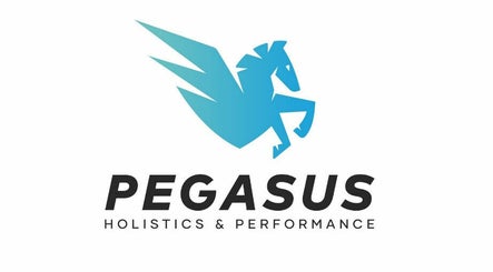 Pegasus Holistic's and Performance