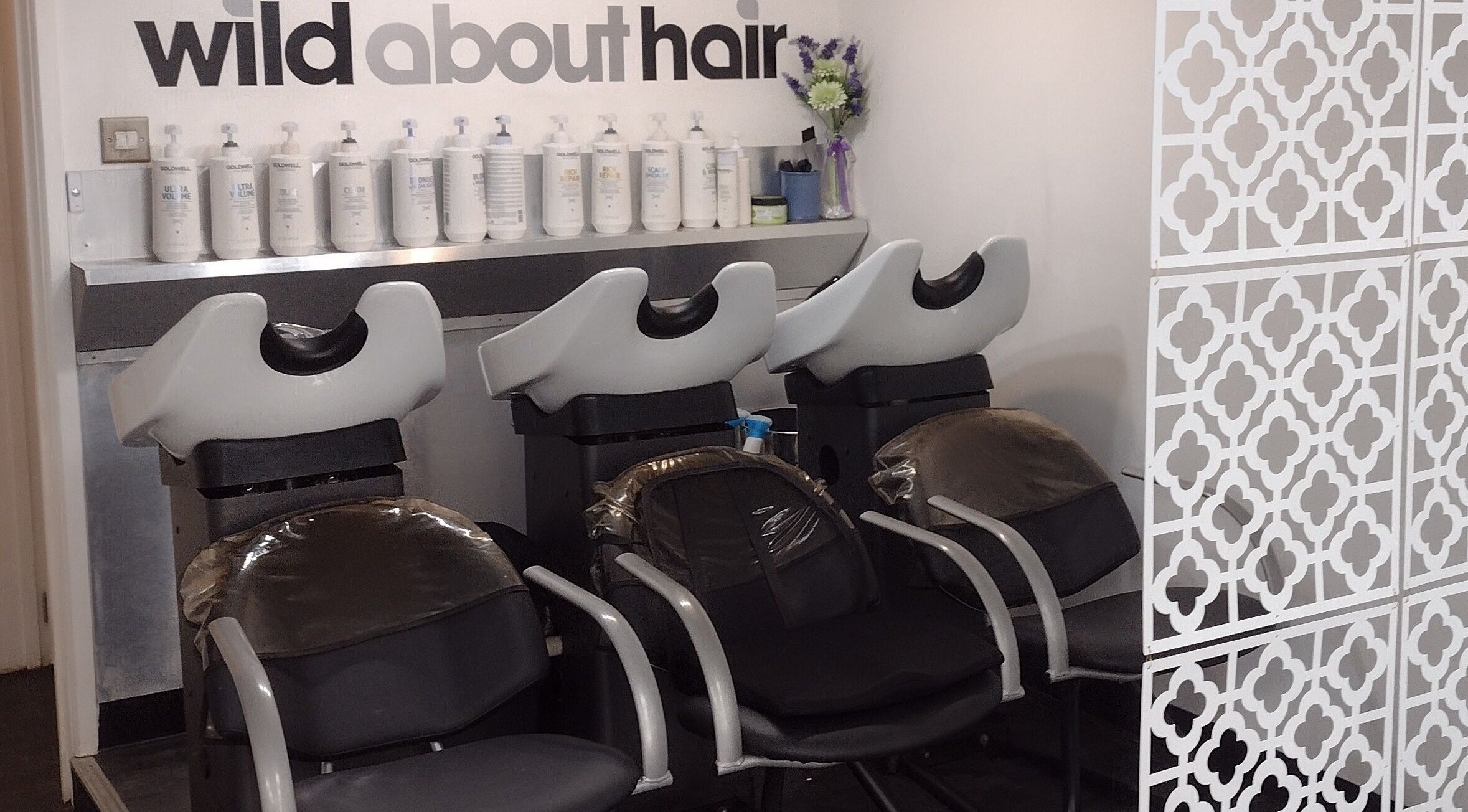 Chic washing stations at Wild About Hair, Torquay, England. For new enquiries email wildabouthair8@gmail.com。