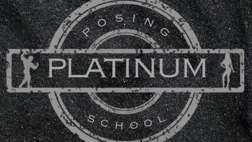 Platinum Posing School image 1