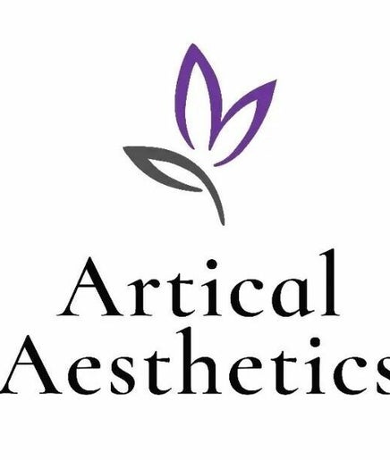 Artical Aesthetics image 2