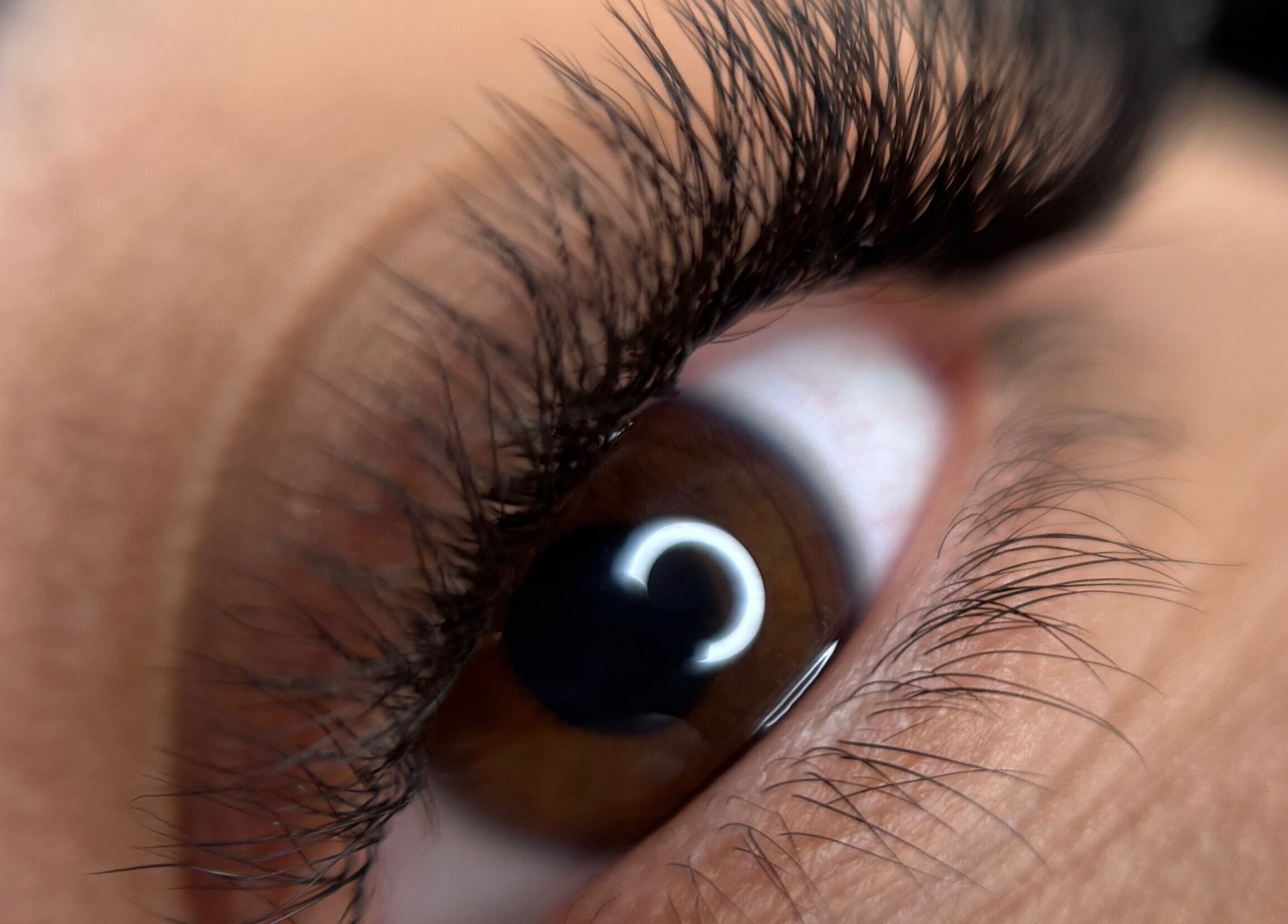 Un gros plan d'un œil avec des cils longs chez Maison Loéa, Crans, Auvergne-rhône-alpes, FR.