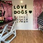 Doggies To The Gilogleys Dog Grooming - 16 Ayr Drive, Airdrie, Scotland