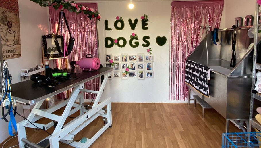 Doggies To The Gilogleys Dog Grooming image 1