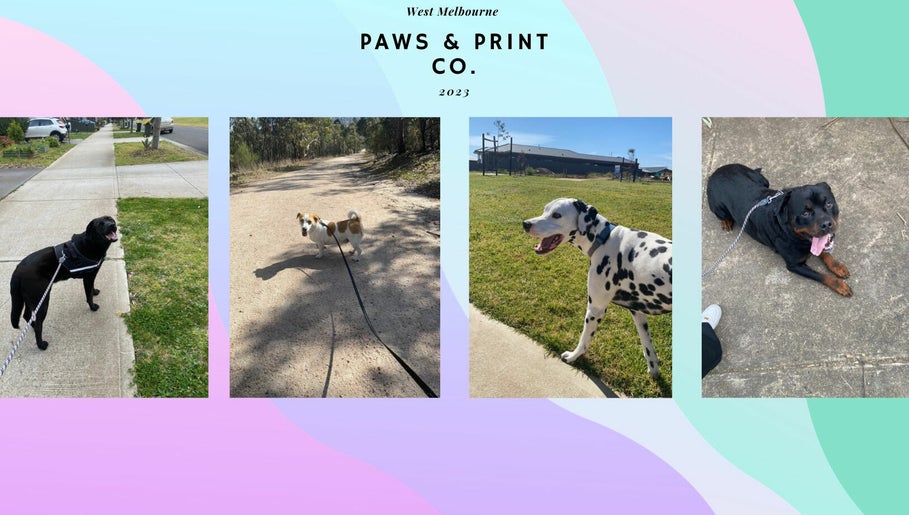 Paws & Print Co. – kuva 1