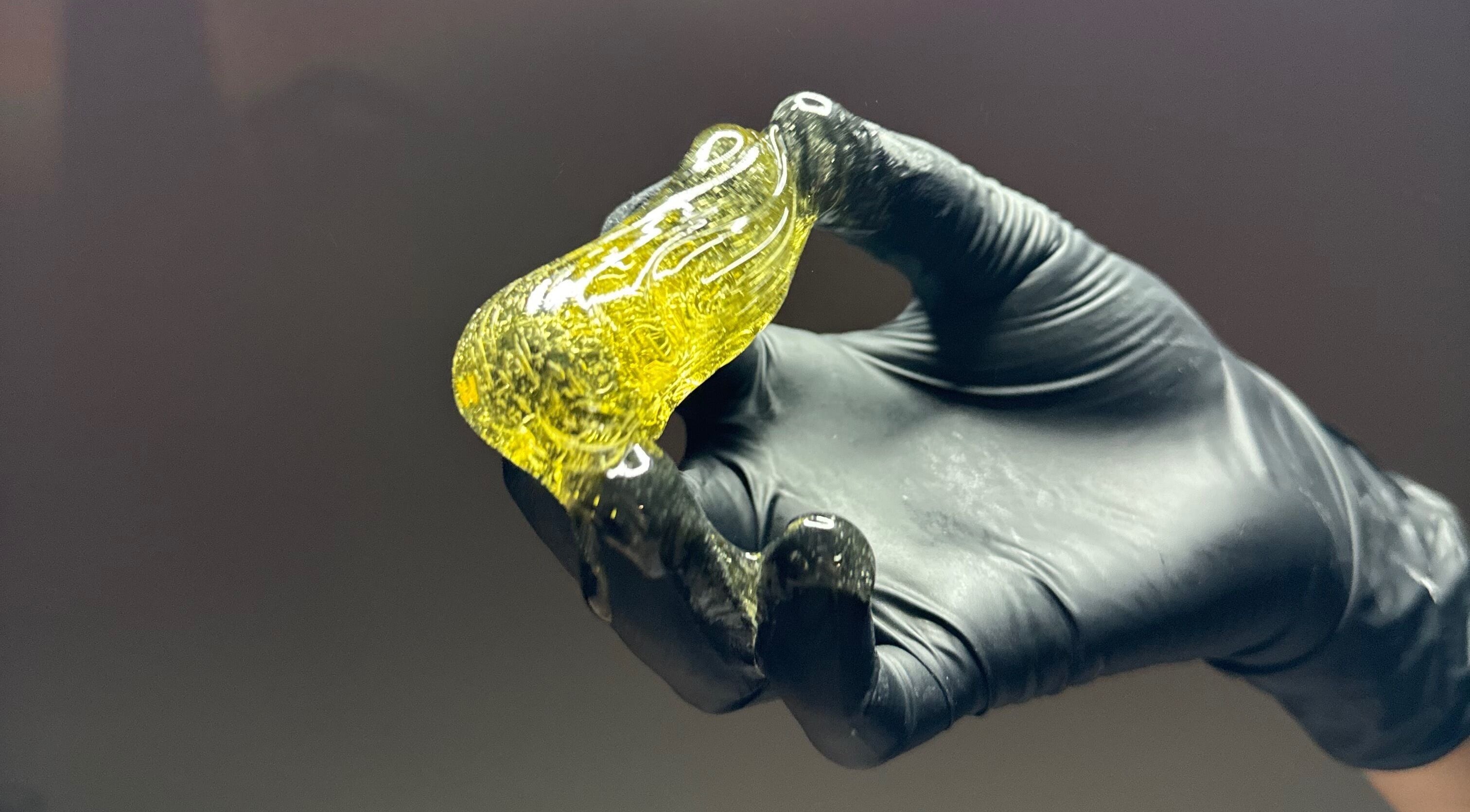 Gloved hand holds golden wax at Dermabelle Esthetics, Tampa, Florida, US, showcasing beauty treatment.