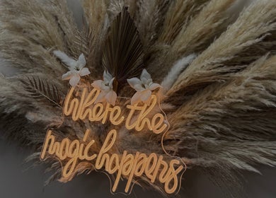 Decor with pampas grass and glowing sign 'where the magic happens' at LMBEAUTY, Linwood, Scotland, GB.
