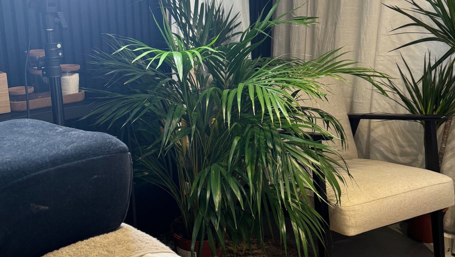 Lush green plant beside a comfy chair at Jessica - Eyelash Specialist, Shefford, England, GB.