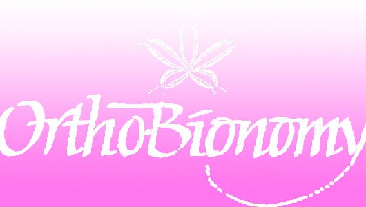 Great Salt Ortho Bionomy image 1