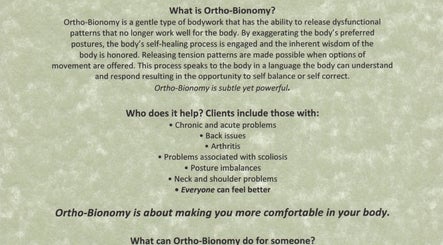 Great Salt Ortho Bionomy image 2