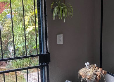 Bright, airy corner of Cutz Hair Crew in Randburg, Gauteng, ZA, with greenery and natural decor.