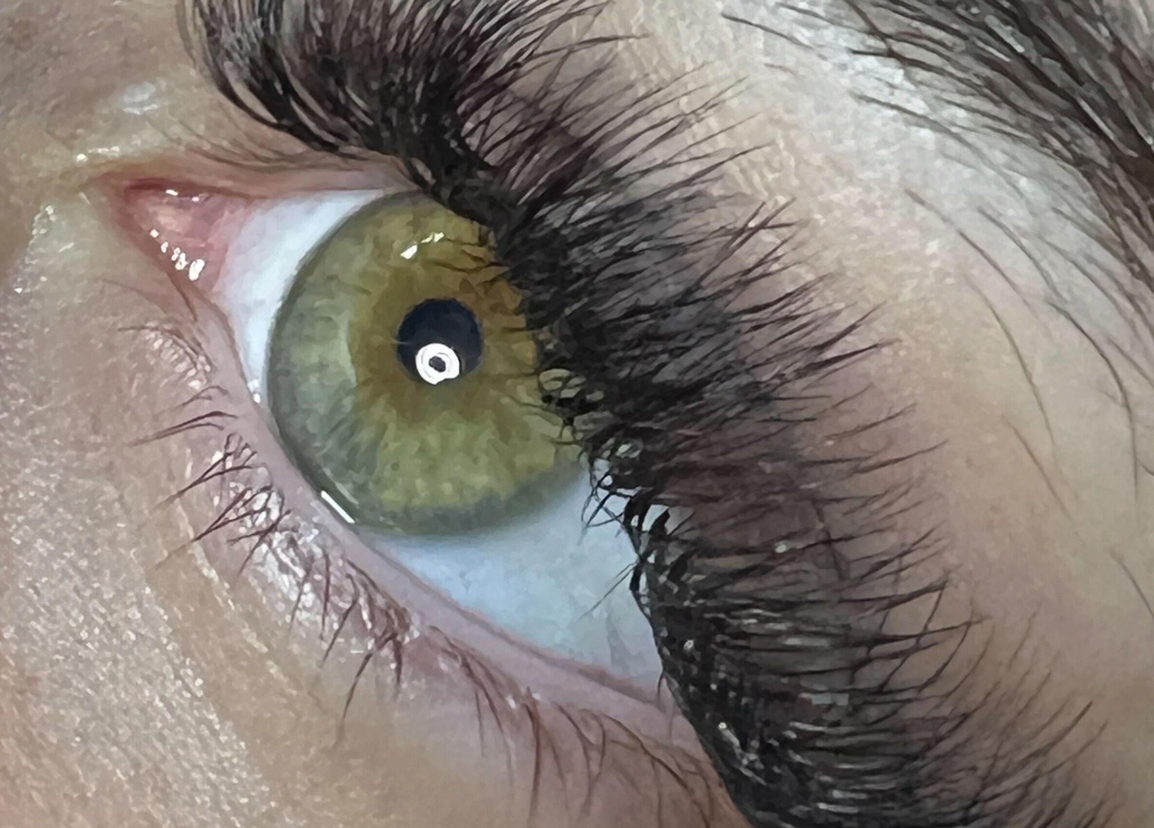 Detailed close-up of beautifully enhanced lashes at Beautify Brows & Lashes, Hamilton Valley, New South Wales, AU.