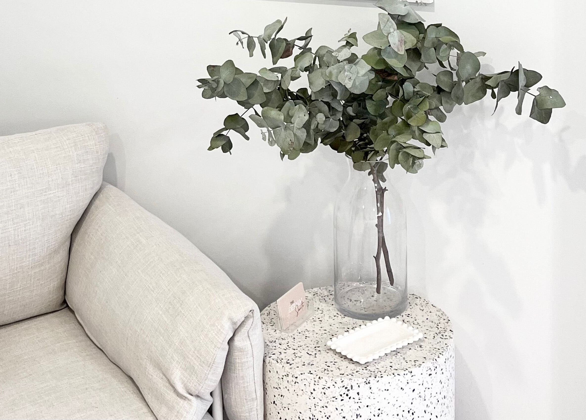 Chic lounge detail with eucalyptus at The Dermal Suite in Lower Plenty, Victoria, AU.