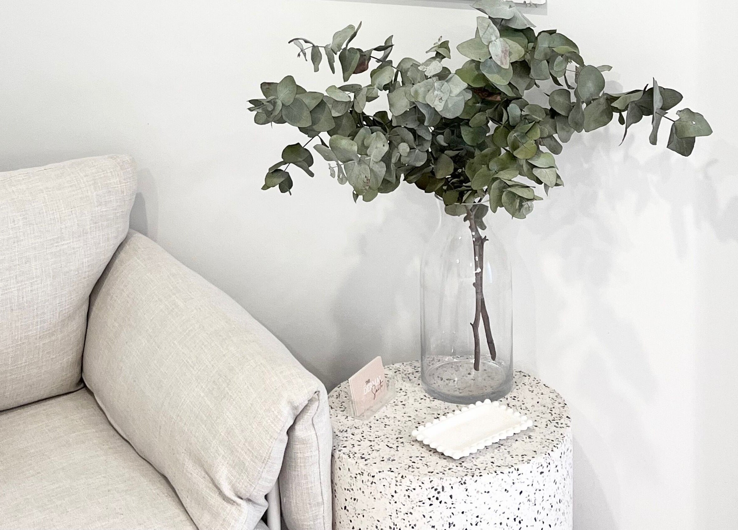 Chic lounge detail with eucalyptus at The Dermal Suite in Lower Plenty, Victoria, AU.