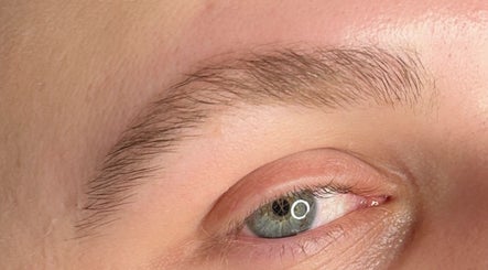 PABLO POVEDA BROWS