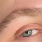 PABLO POVEDA BROWS