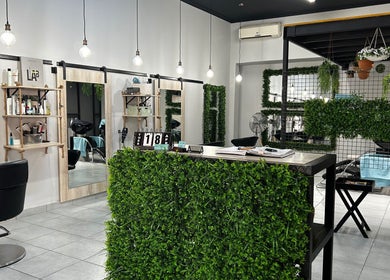 Modern salon interior at Envy Hair Design, Boksburg, Gauteng, ZA, featuring chic decor and greenery.