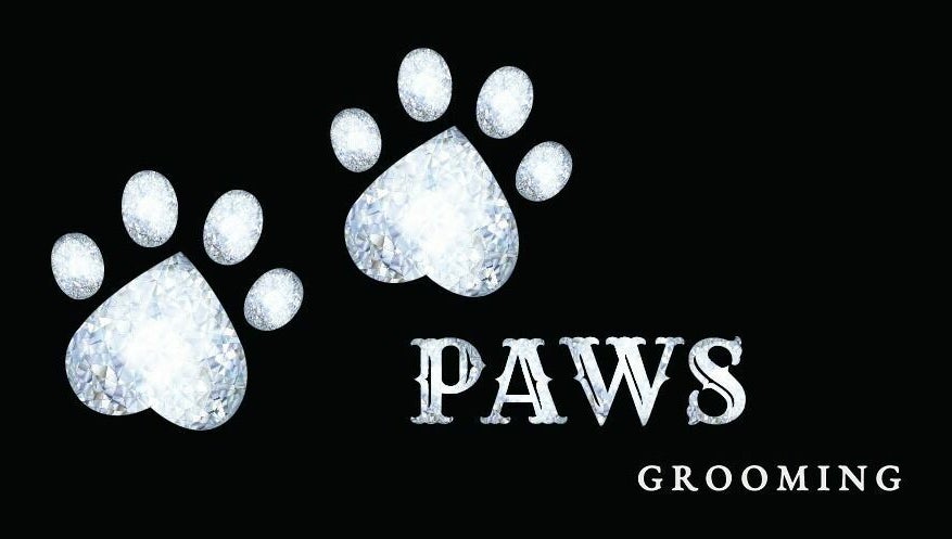 Paws Grooming зображення 1