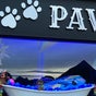 Paws Grooming - 7 Crossley Street, Wetherby, England