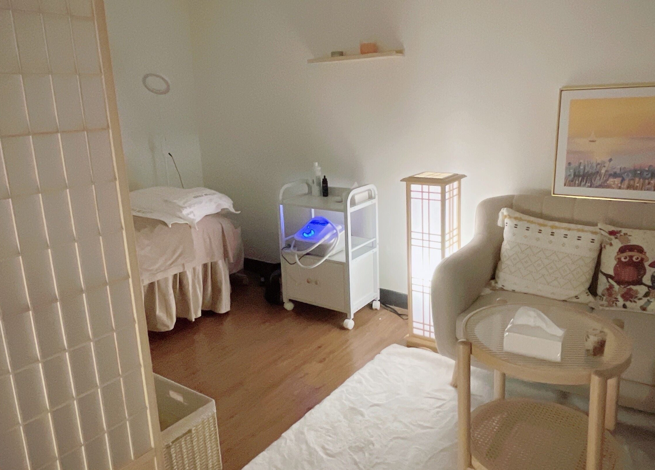 Relaxing treatment room at Terra Beauty單次收費美容, Kowloon, HK, featuring cozy sofa and wellness equipment.