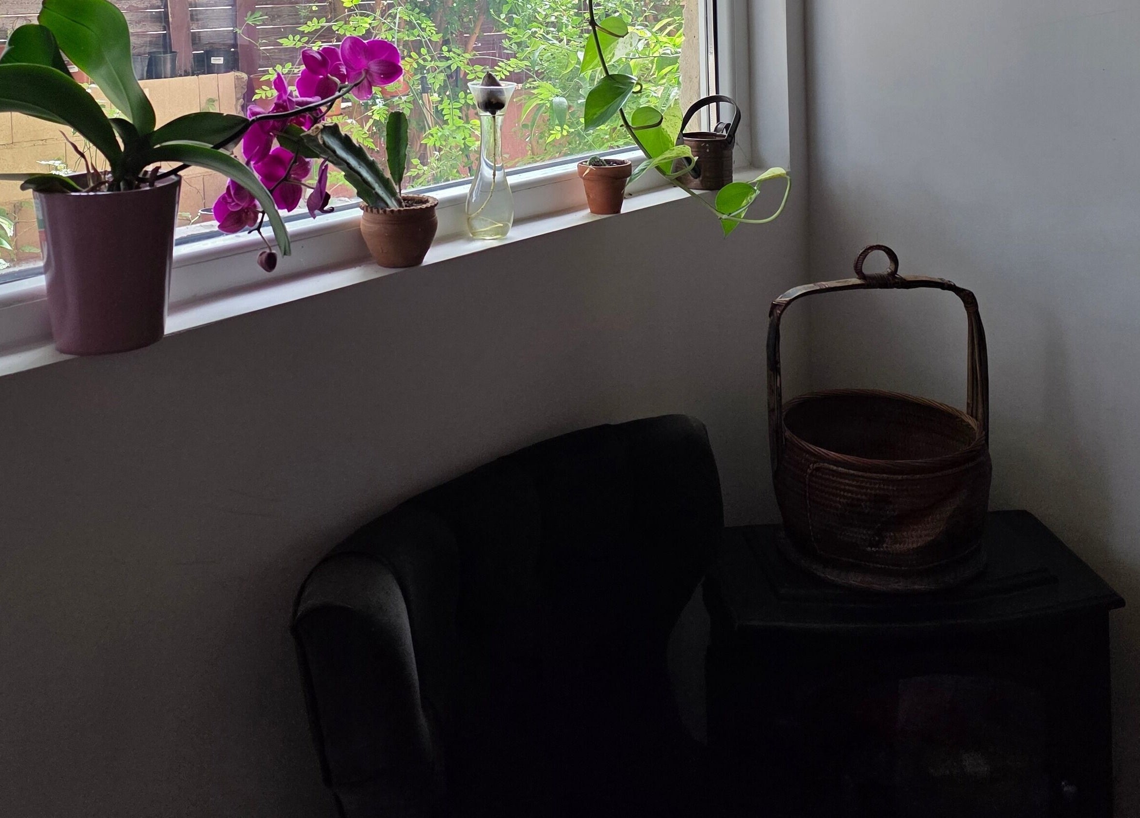 Φυτά και καλάθι σε παράθυρο στον Εuphoria Aura, Λεμεσός, CY.