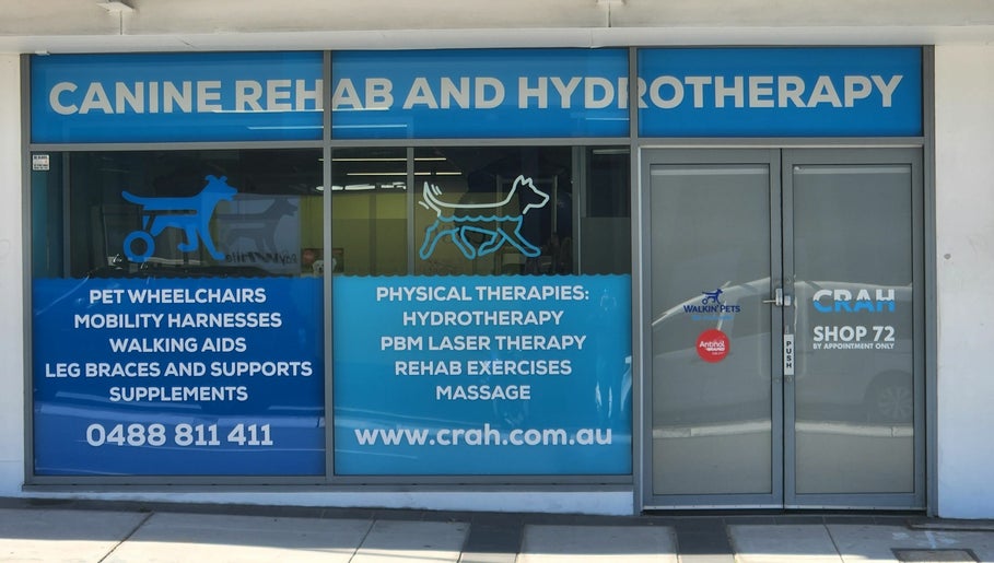 Canine Rehab and Hydrotherapy Bild 1