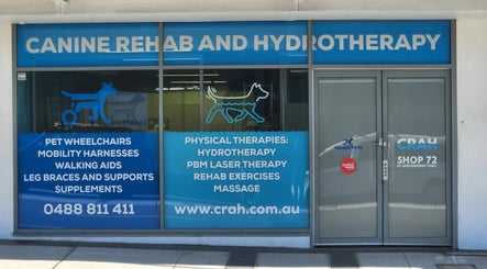 Canine Rehab and Hydrotherapy