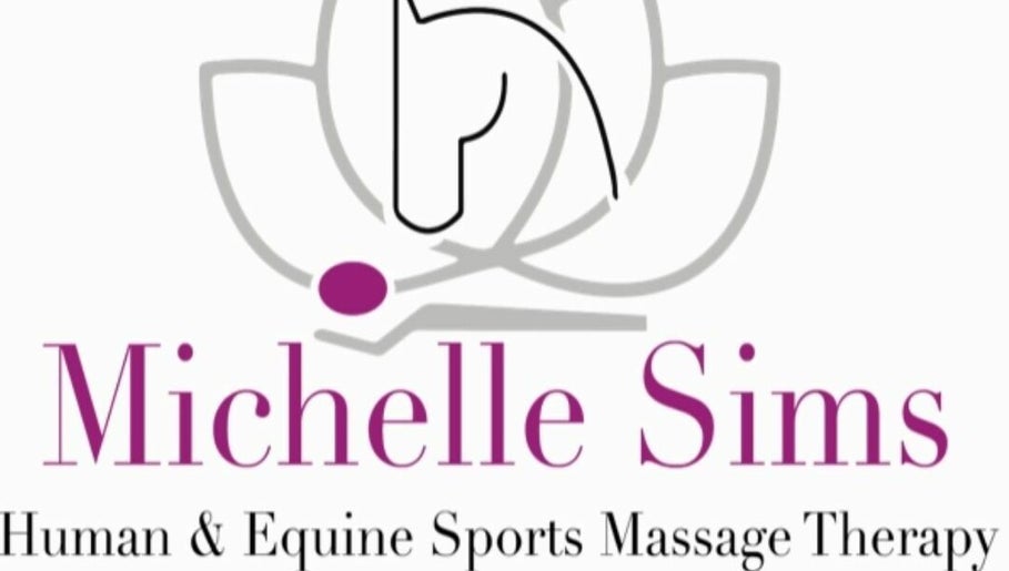 Michelle Sims Human and equine Sports Massage Therapy afbeelding 1