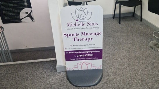 Michelle Sims Human and equine Sports Massage Therapy