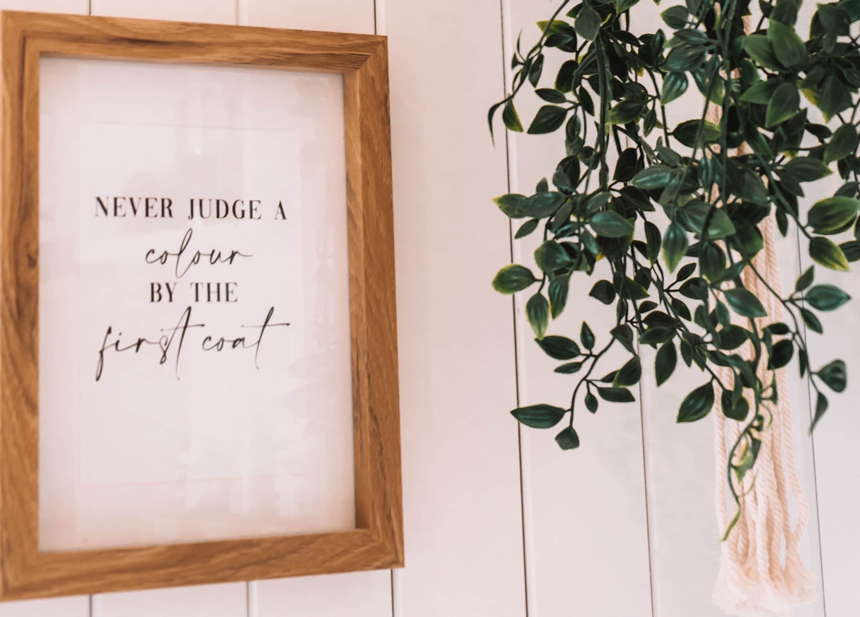 Decorative framed quote with plant at Sacred Roots Limited, Guernsey, Vale, GG.