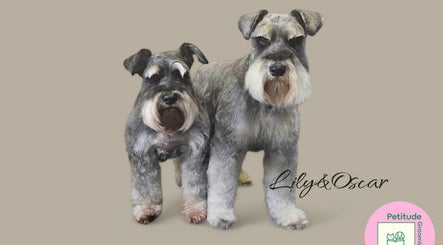 Petitude Grooming image 3