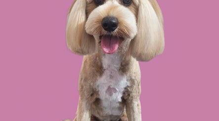 Petitude Grooming image 3