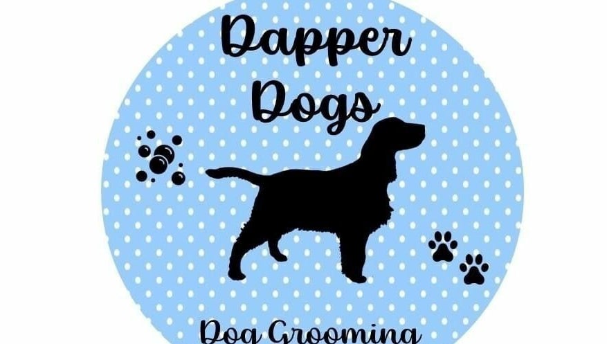 Dapper Dogs imagem 1